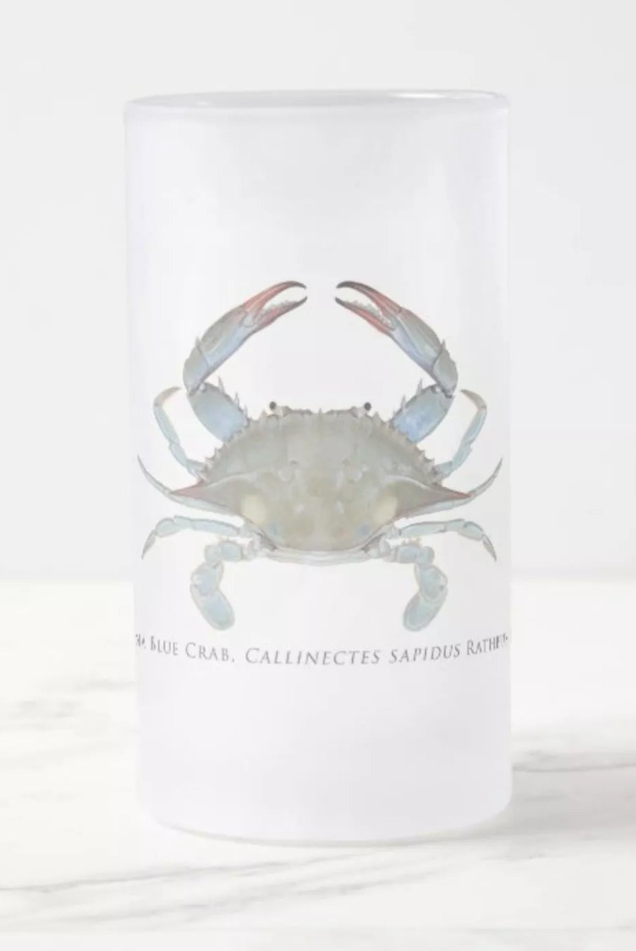 Louisiana Blue Crab - Frosted Glass Stein-Stick Figure Fish Illustration