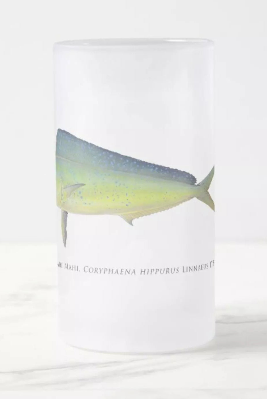 Mahi Mahi - Frosted Glass Stein-Stick Figure Fish Illustration