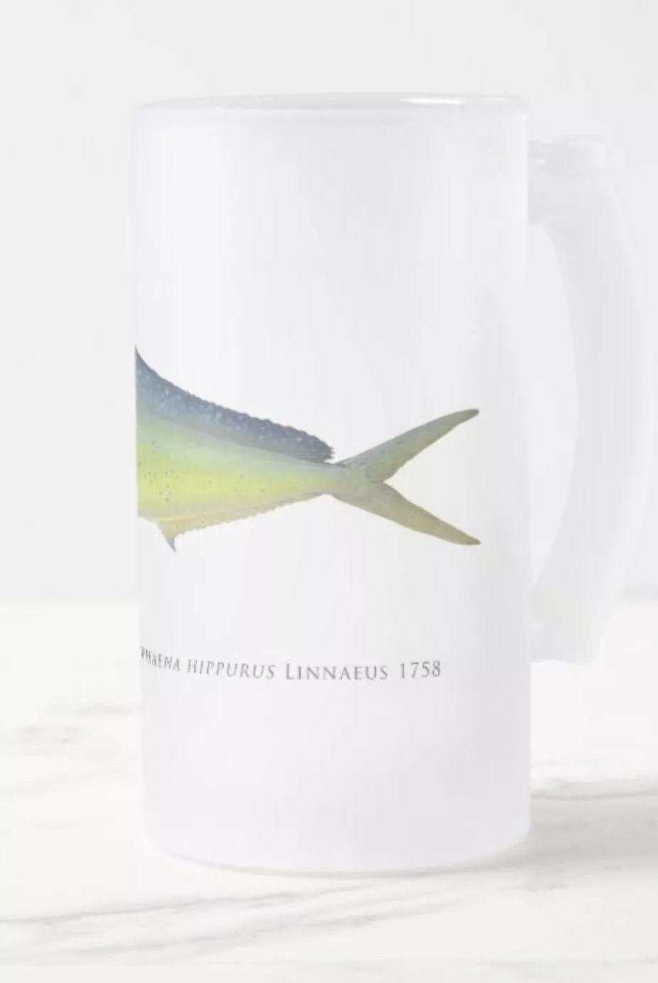 Mahi Mahi - Frosted Glass Stein-Stick Figure Fish Illustration