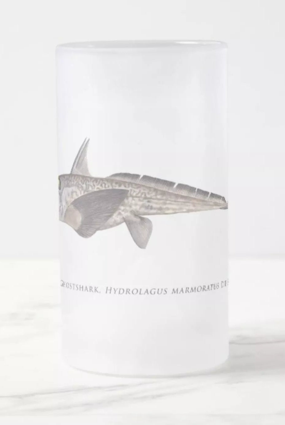 Marbled Ghostshark - Frosted Glass Stein-Stick Figure Fish Illustration