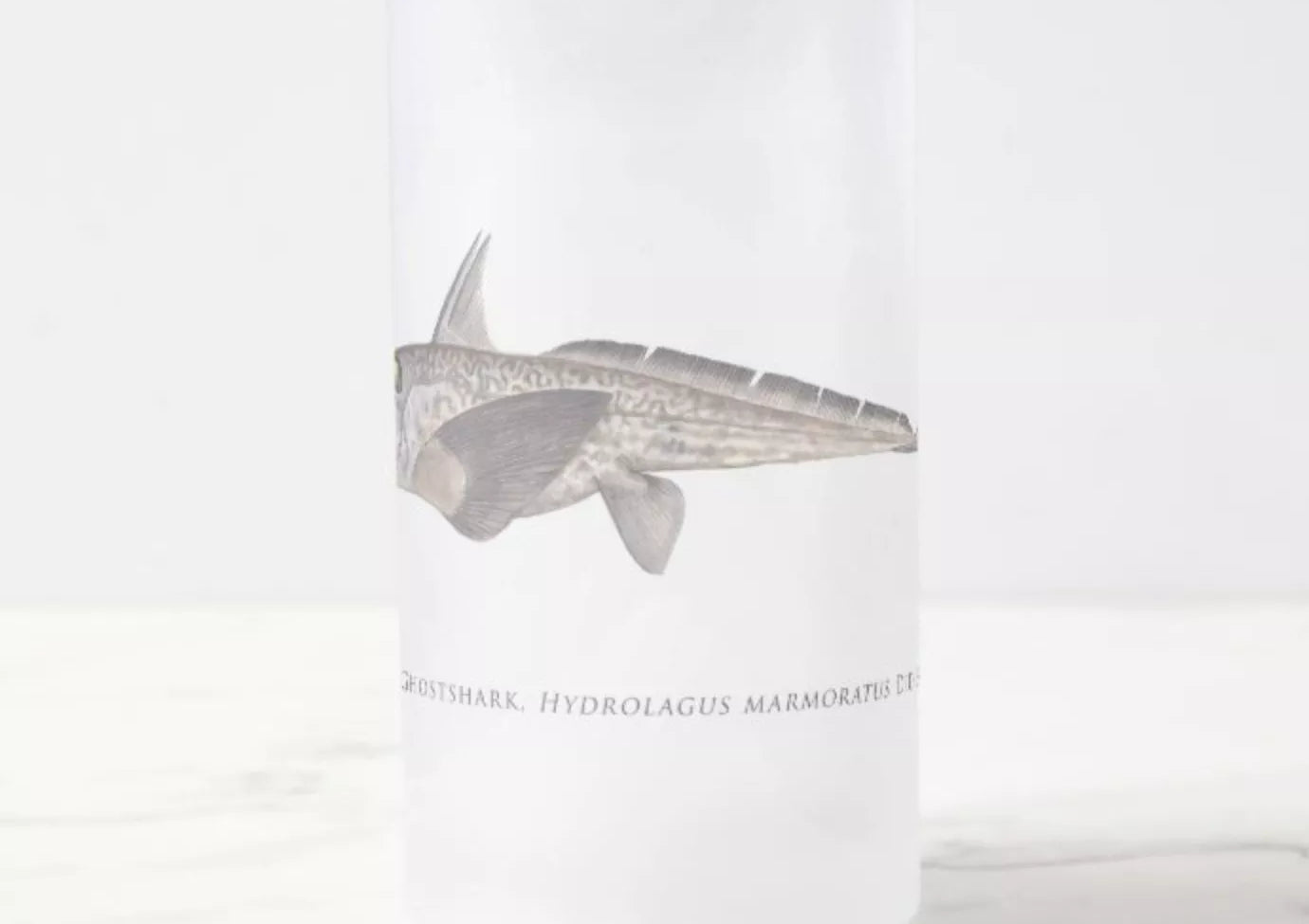 Marbled Ghostshark - Frosted Glass Stein-Stick Figure Fish Illustration