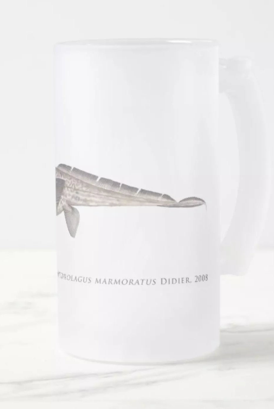 Marbled Ghostshark - Frosted Glass Stein-Stick Figure Fish Illustration