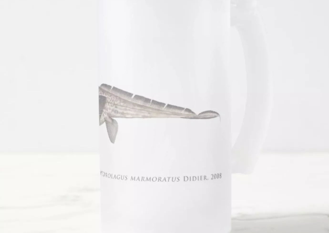 Marbled Ghostshark - Frosted Glass Stein-Stick Figure Fish Illustration