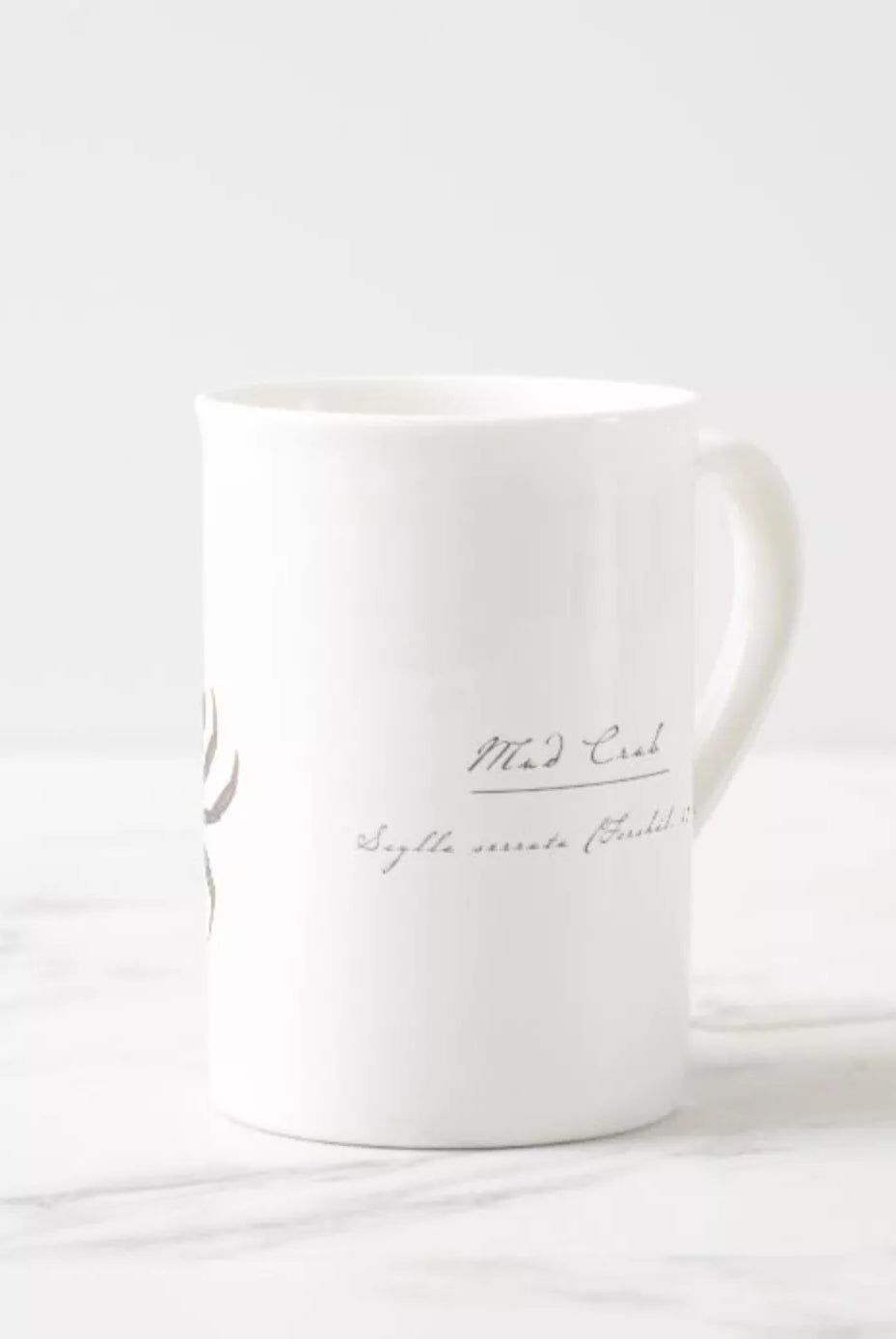 Mud Crab - Fine Bone China Mug-Stick Figure Fish Illustration