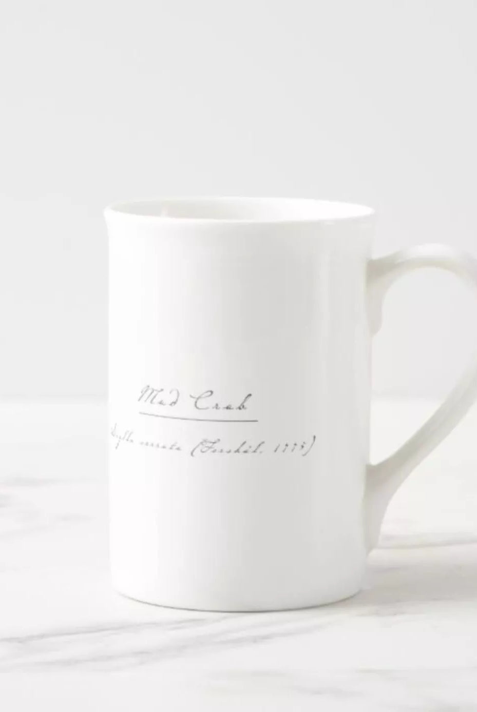 Mud Crab - Fine Bone China Mug-Stick Figure Fish Illustration