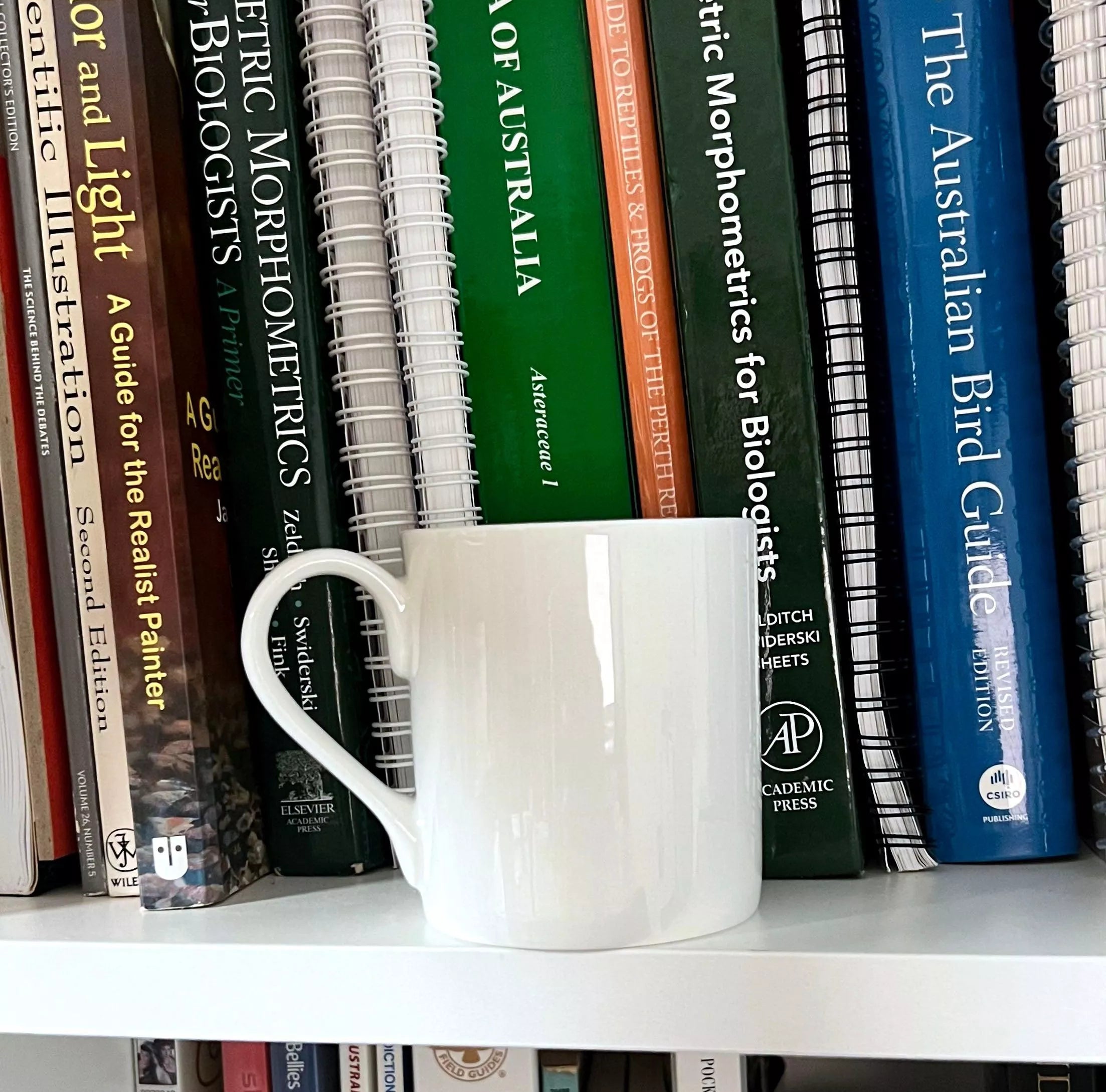 Mud Crab - Fine Bone China Mug-Stick Figure Fish Illustration