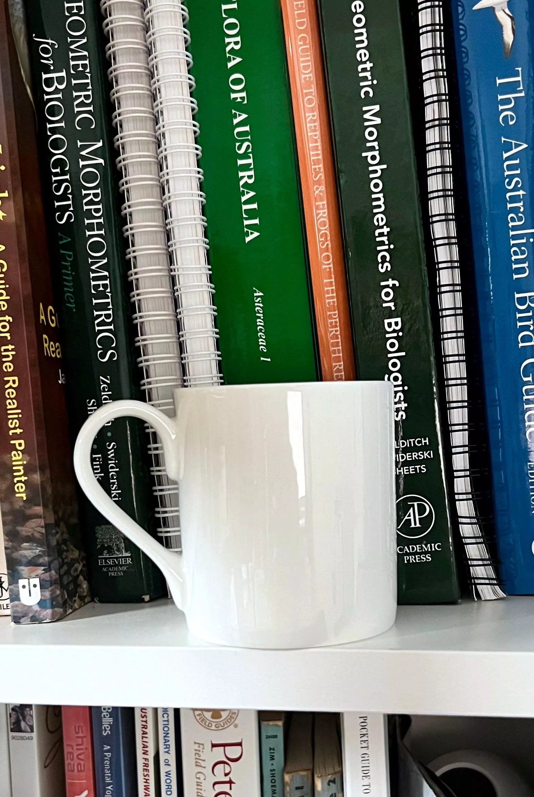 Mud Crab - Fine Bone China Mug-Stick Figure Fish Illustration