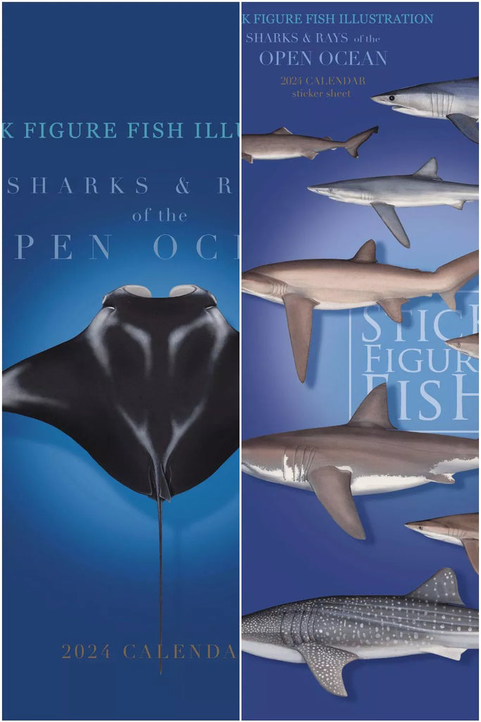 Ocean Explorer Bundle-Stick Figure Fish Illustration