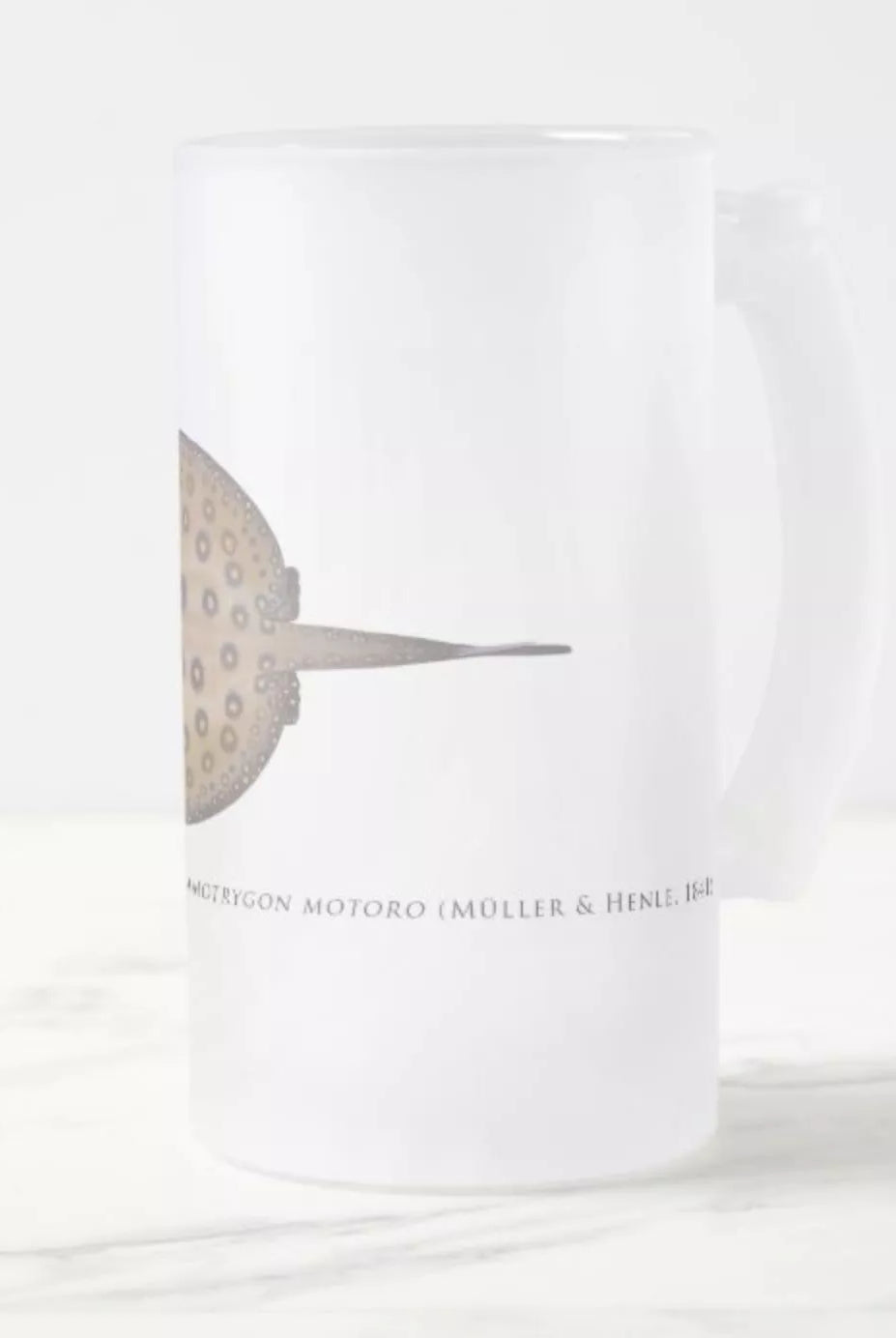 Ocellate River Stingray - Frosted Glass Stein-Stick Figure Fish Illustration