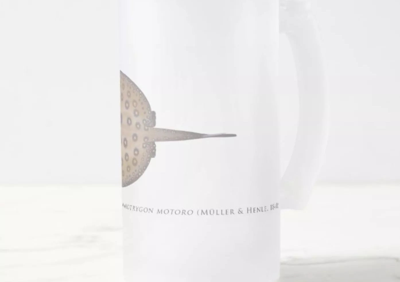 Ocellate River Stingray - Frosted Glass Stein-Stick Figure Fish Illustration