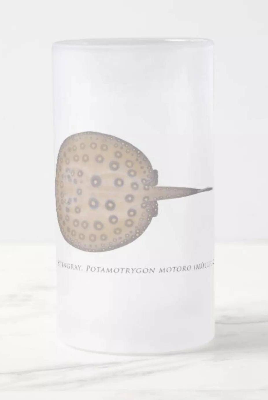 Ocellate River Stingray - Frosted Glass Stein-Stick Figure Fish Illustration