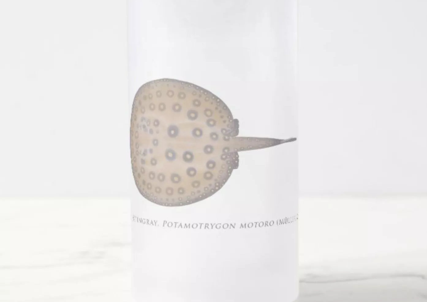Ocellate River Stingray - Frosted Glass Stein-Stick Figure Fish Illustration