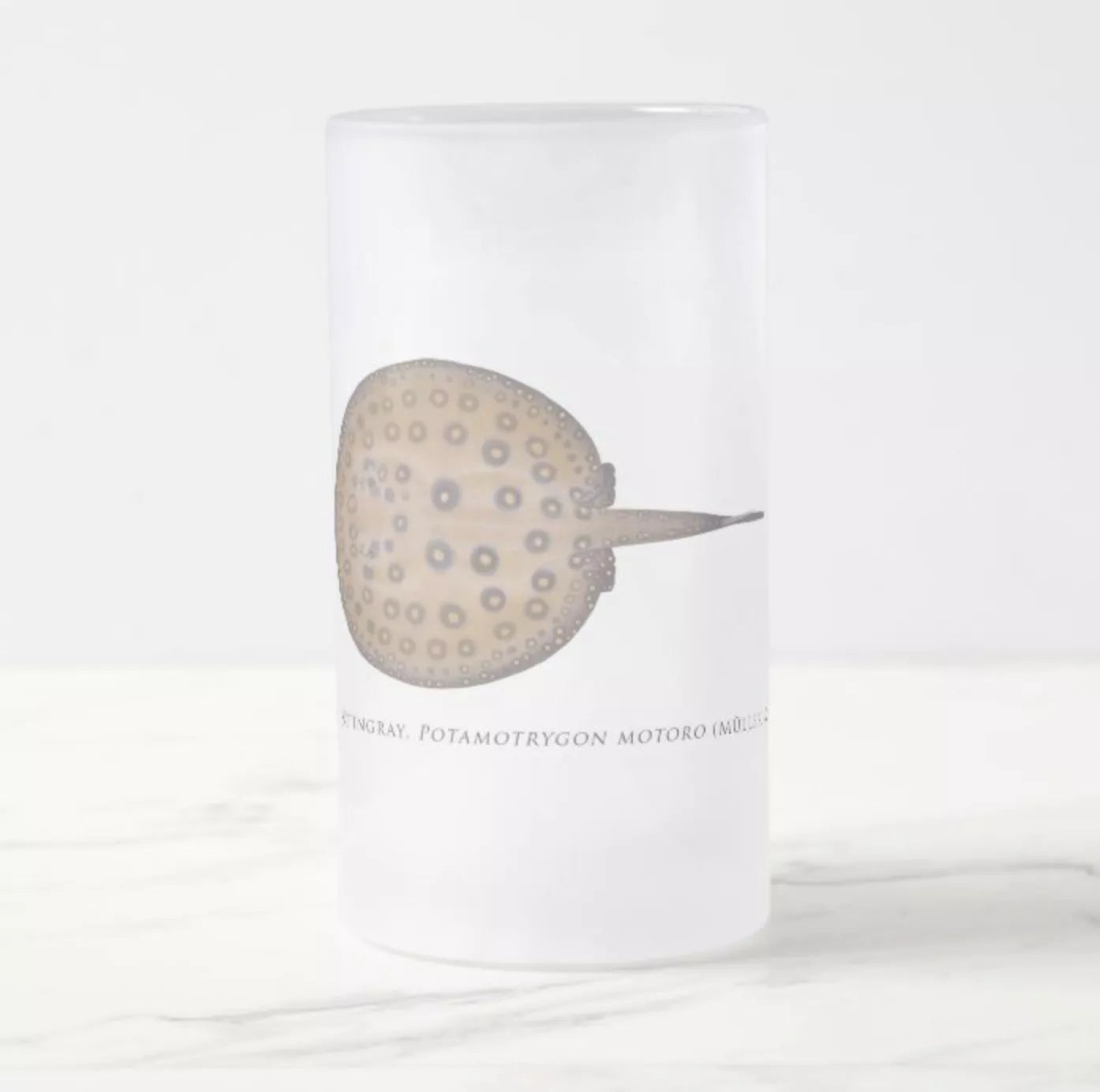 Ocellate River Stingray - Frosted Glass Stein-Stick Figure Fish Illustration