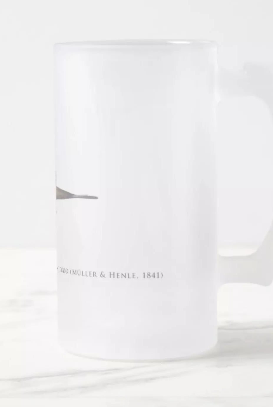 Ocellate River Stingray - Frosted Glass Stein-Stick Figure Fish Illustration