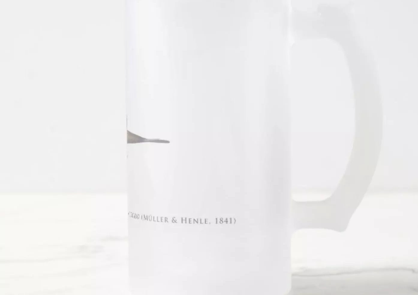 Ocellate River Stingray - Frosted Glass Stein-Stick Figure Fish Illustration