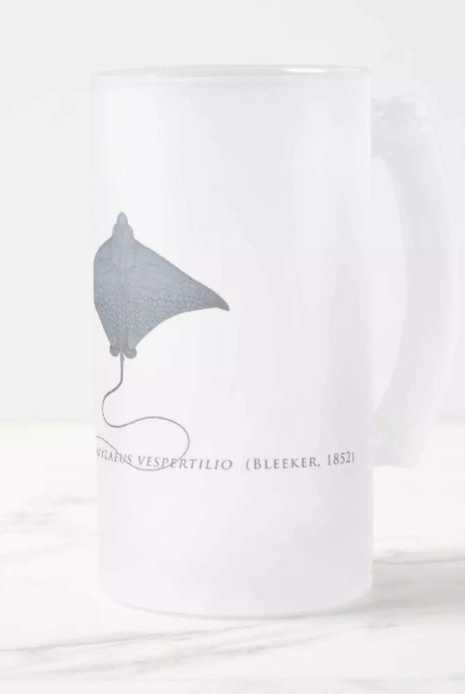 Ornate Eagle Ray - Frosted Glass Stein-Stick Figure Fish Illustration