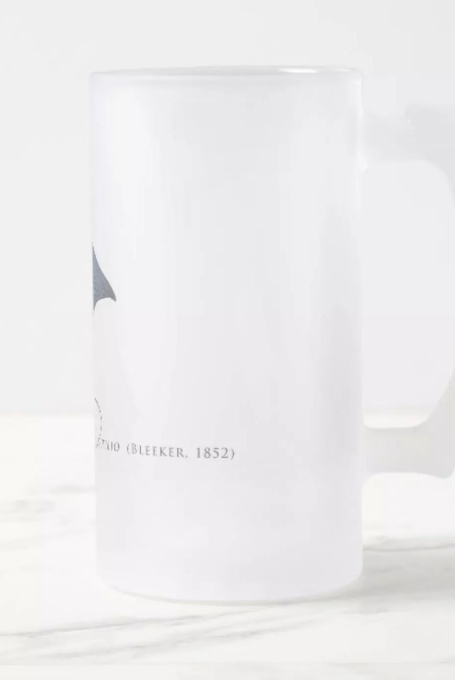 Ornate Eagle Ray - Frosted Glass Stein-Stick Figure Fish Illustration