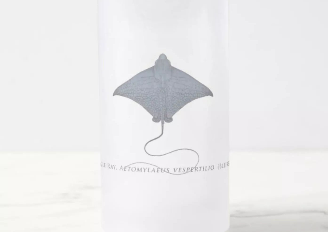 Ornate Eagle Ray - Frosted Glass Stein-Stick Figure Fish Illustration