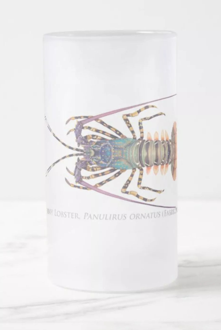 Ornate Spiny Lobster - Frosted Glass Stein-Stick Figure Fish Illustration