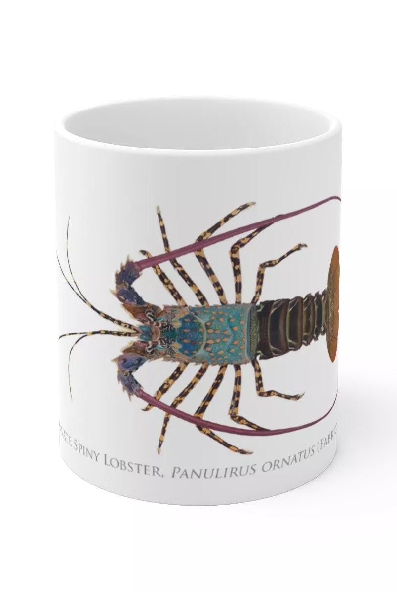 Ornate Spiny Lobster Mug - Version 2 (Detailed)-Stick Figure Fish Illustration