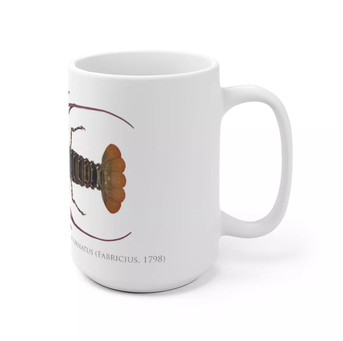 Ornate Spiny Lobster Mug - Version 2 (Detailed)-Stick Figure Fish Illustration