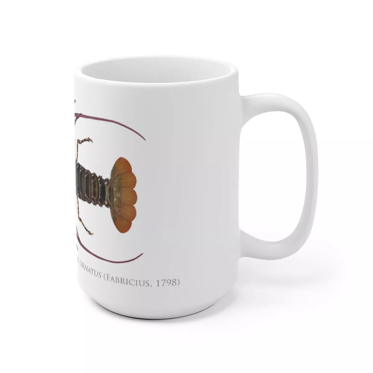 Ornate Spiny Lobster Mug - Version 2 (Detailed)-Stick Figure Fish Illustration