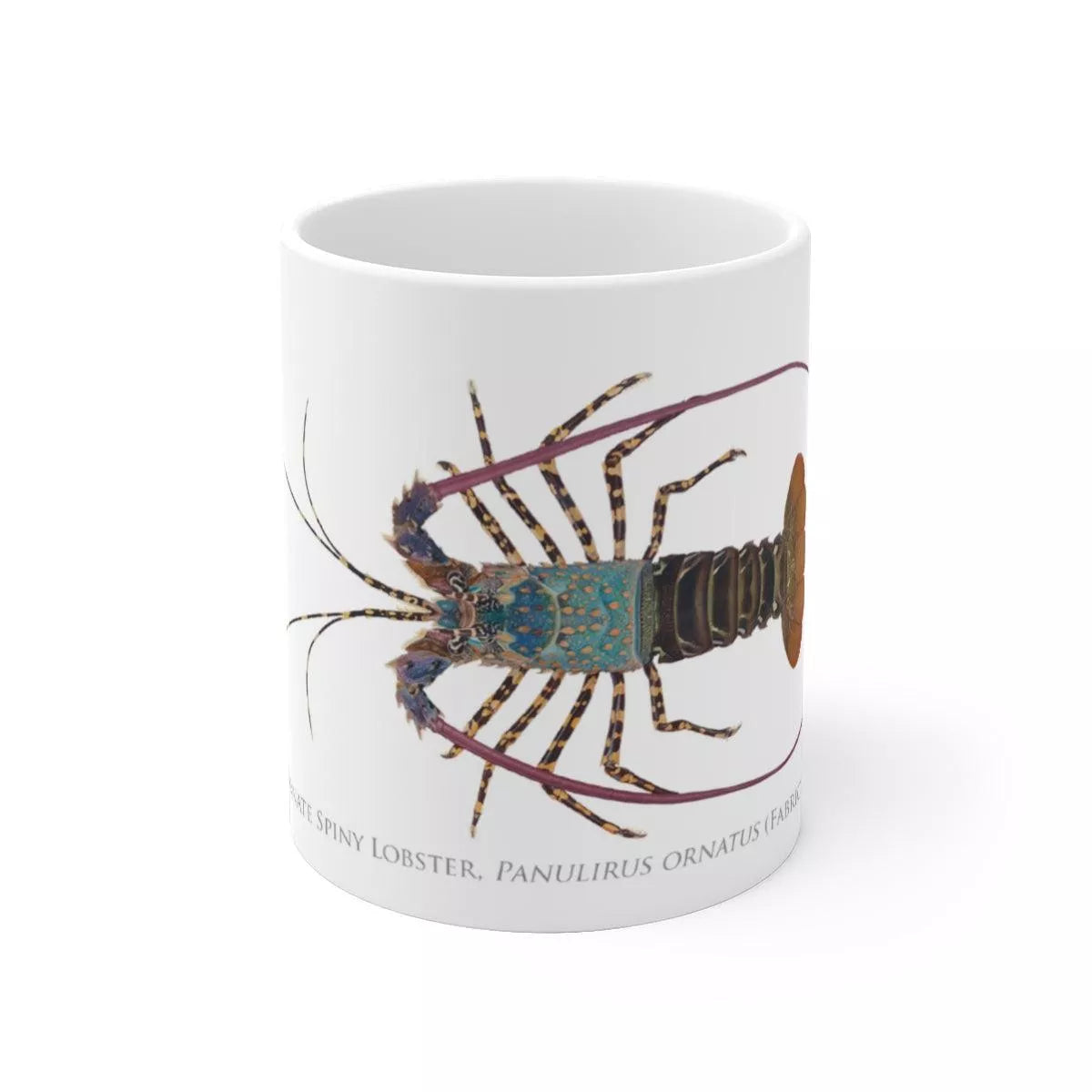 Ornate Spiny Lobster Mug - Version 2 (Detailed)-Stick Figure Fish Illustration