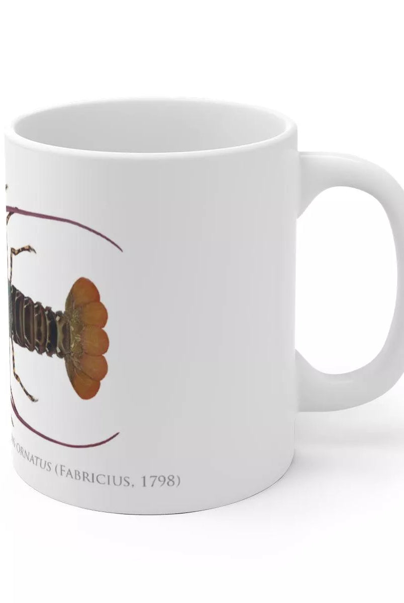 Ornate Spiny Lobster Mug - Version 2 (Detailed)-Stick Figure Fish Illustration