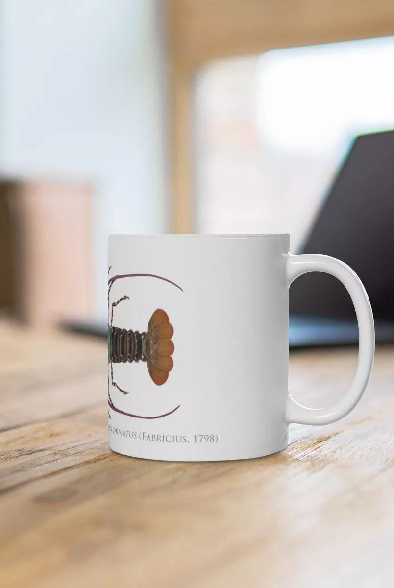 Ornate Spiny Lobster Mug - Version 2 (Detailed)-Stick Figure Fish Illustration