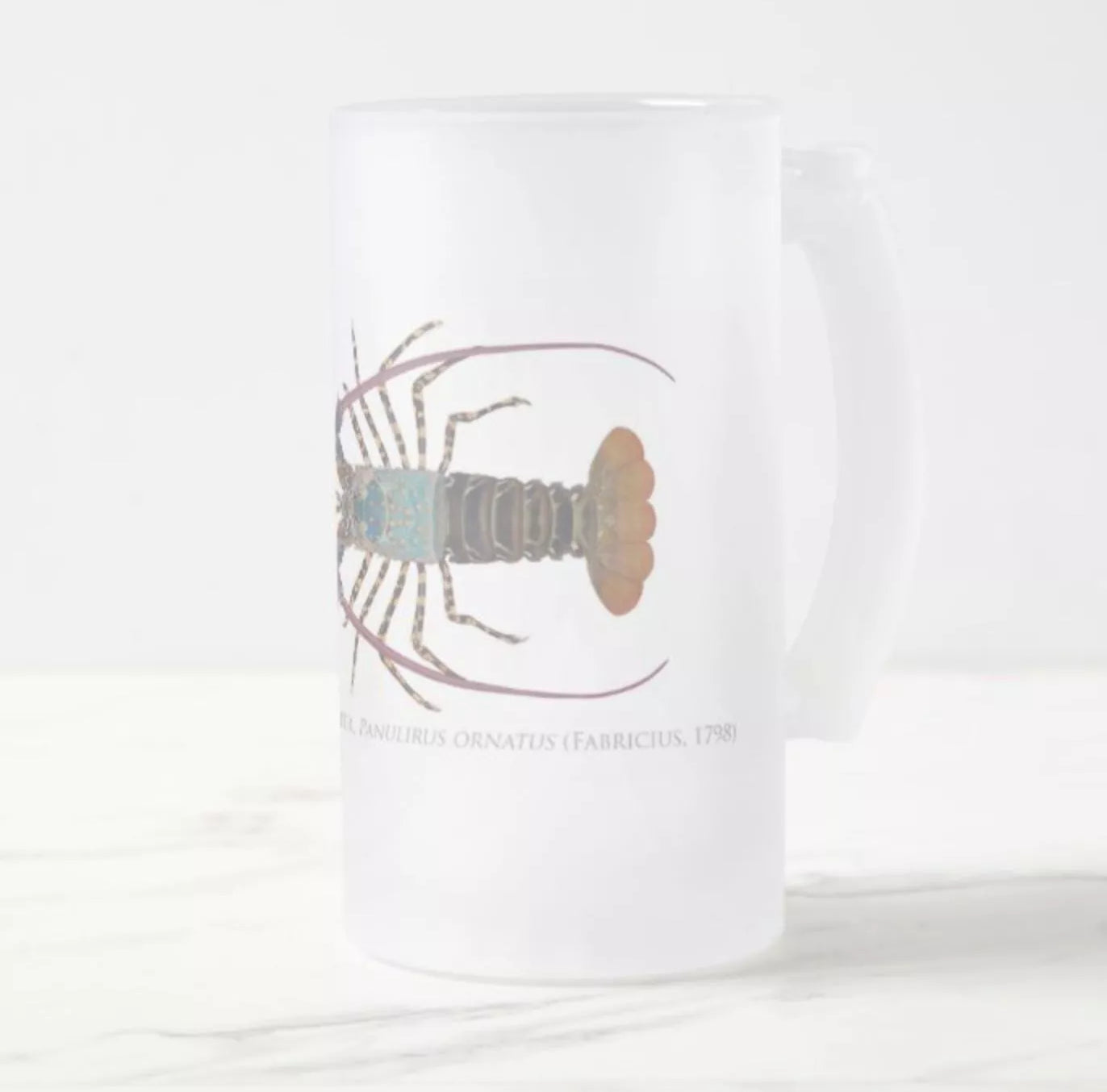 Ornate Spiny Lobster Version 2 (Detailed) - Frosted Glass Stein-Stick Figure Fish Illustration