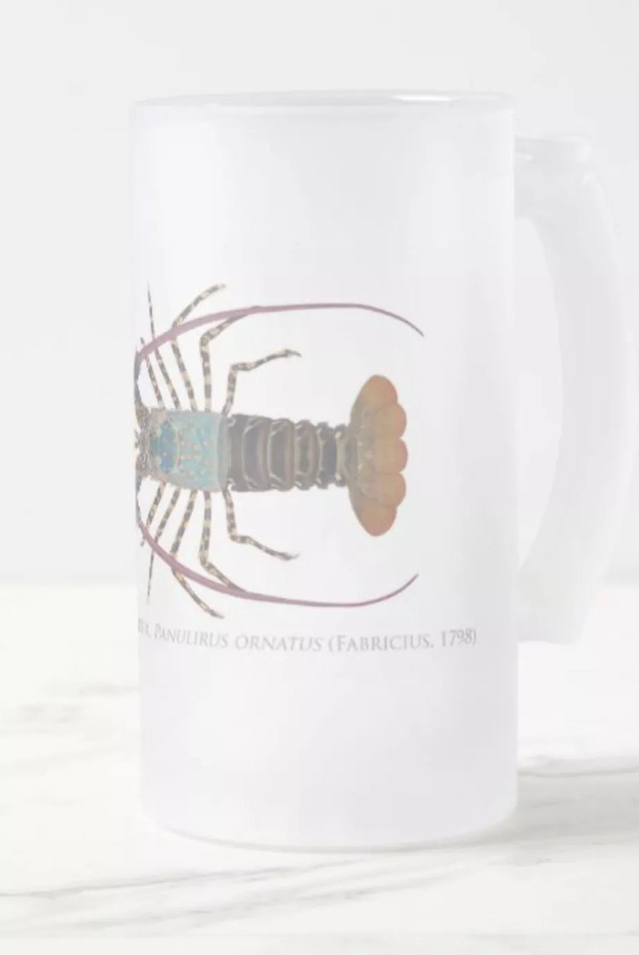 Ornate Spiny Lobster Version 2 (Detailed) - Frosted Glass Stein-Stick Figure Fish Illustration