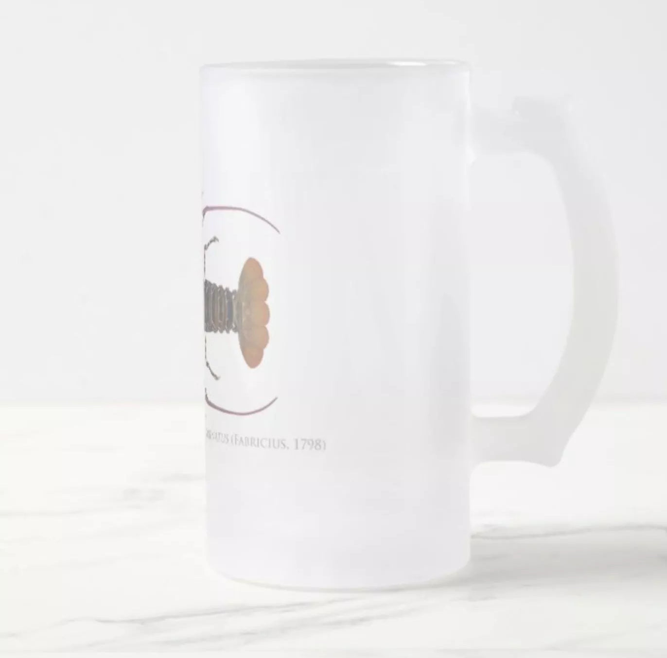 Ornate Spiny Lobster Version 2 (Detailed) - Frosted Glass Stein-Stick Figure Fish Illustration