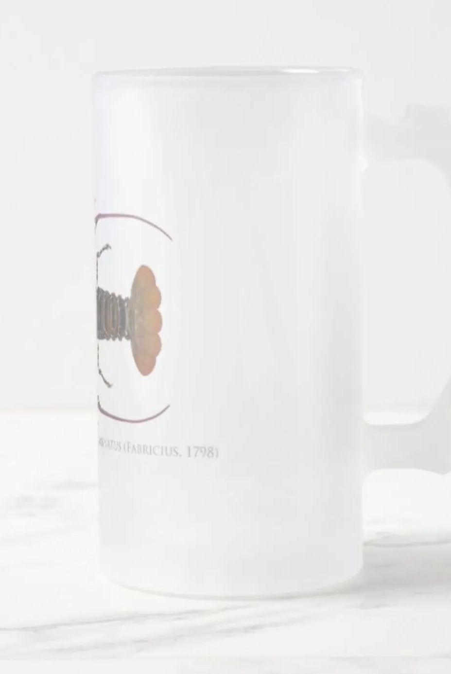 Ornate Spiny Lobster Version 2 (Detailed) - Frosted Glass Stein-Stick Figure Fish Illustration