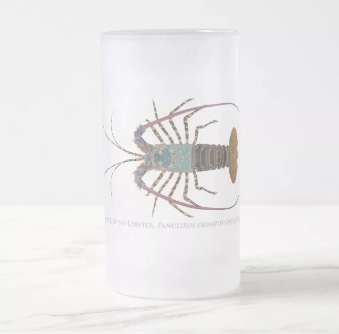Ornate Spiny Lobster Version 2 (Detailed) - Frosted Glass Stein-Stick Figure Fish Illustration