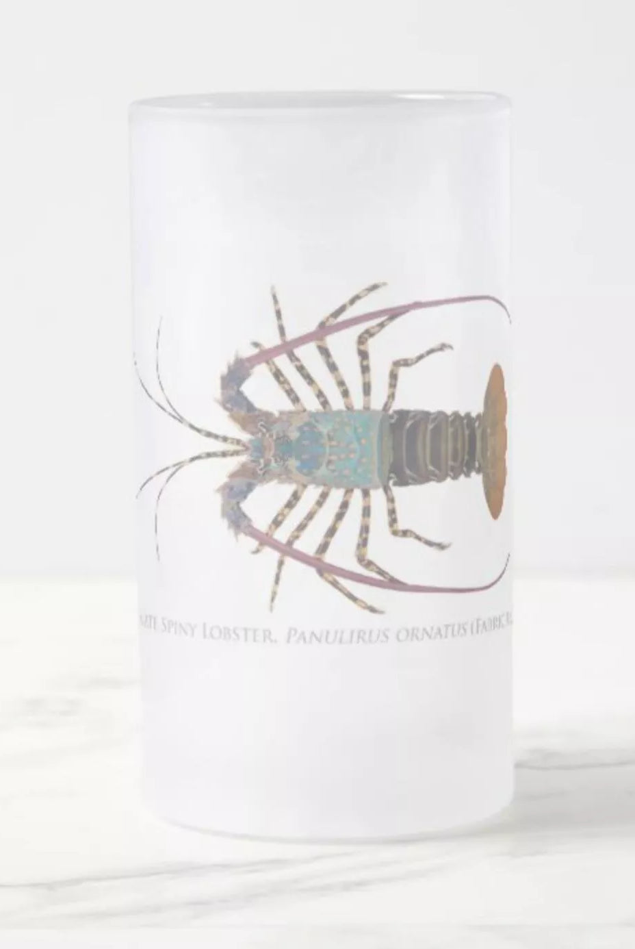 Ornate Spiny Lobster Version 2 (Detailed) - Frosted Glass Stein-Stick Figure Fish Illustration