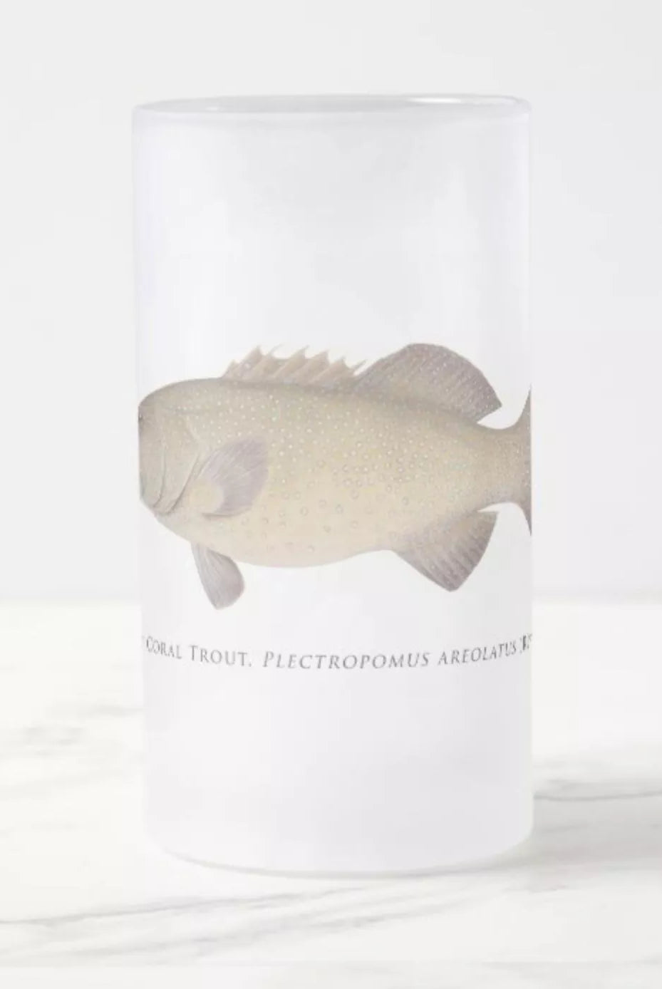Passionfruit Coral Trout - Frosted Glass Stein-Stick Figure Fish Illustration
