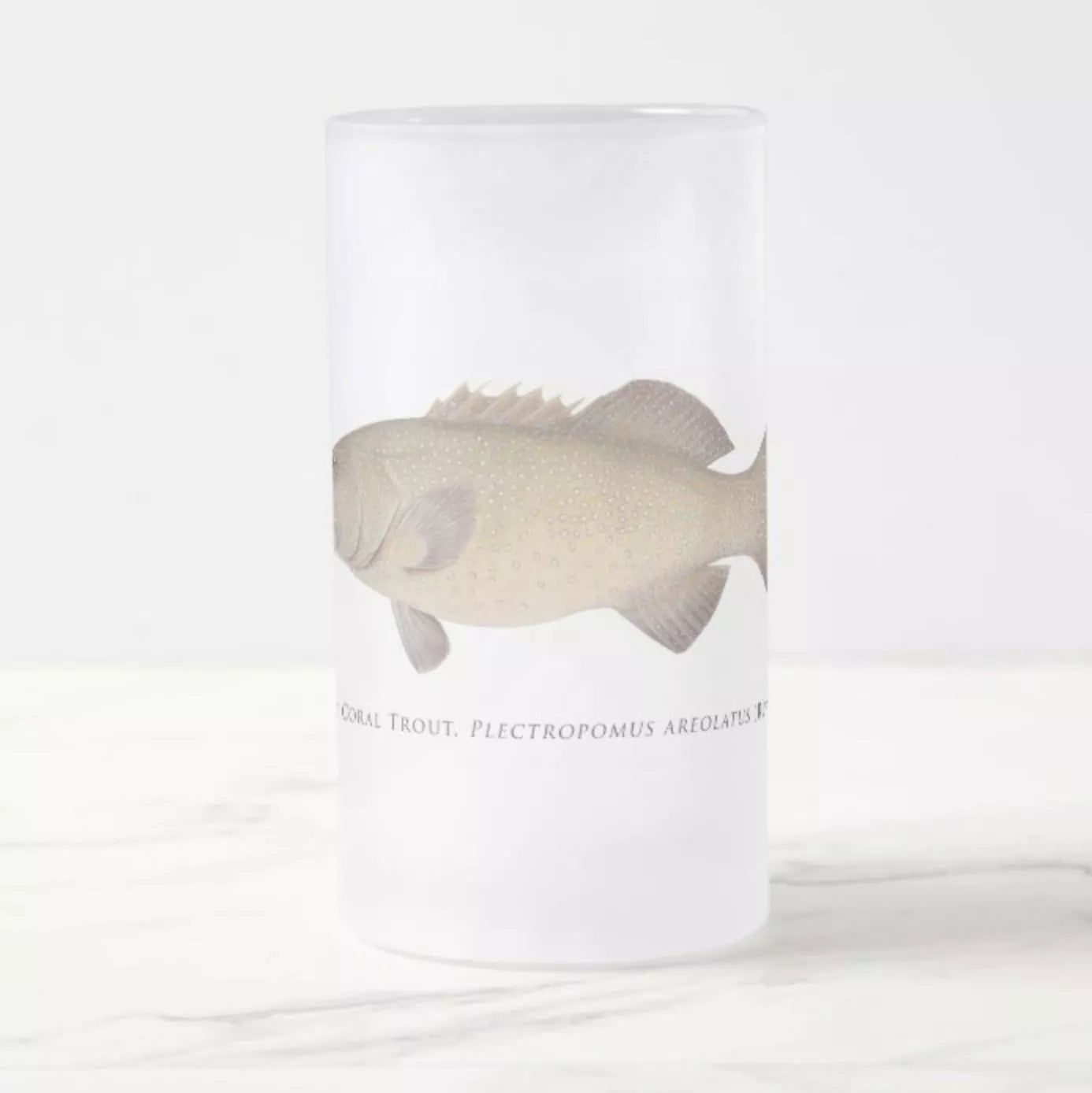 Passionfruit Coral Trout - Frosted Glass Stein-Stick Figure Fish Illustration