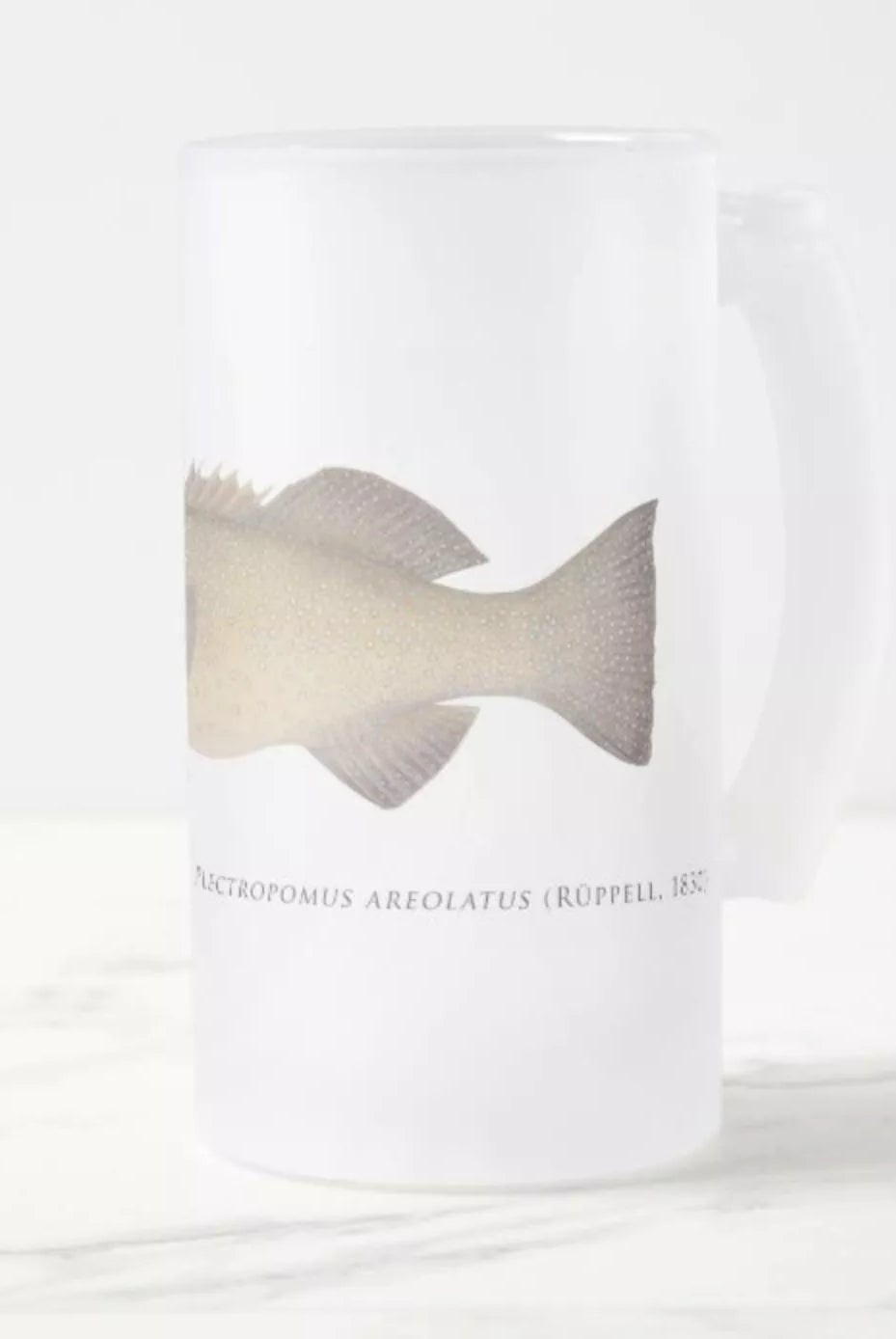 Passionfruit Coral Trout - Frosted Glass Stein-Stick Figure Fish Illustration