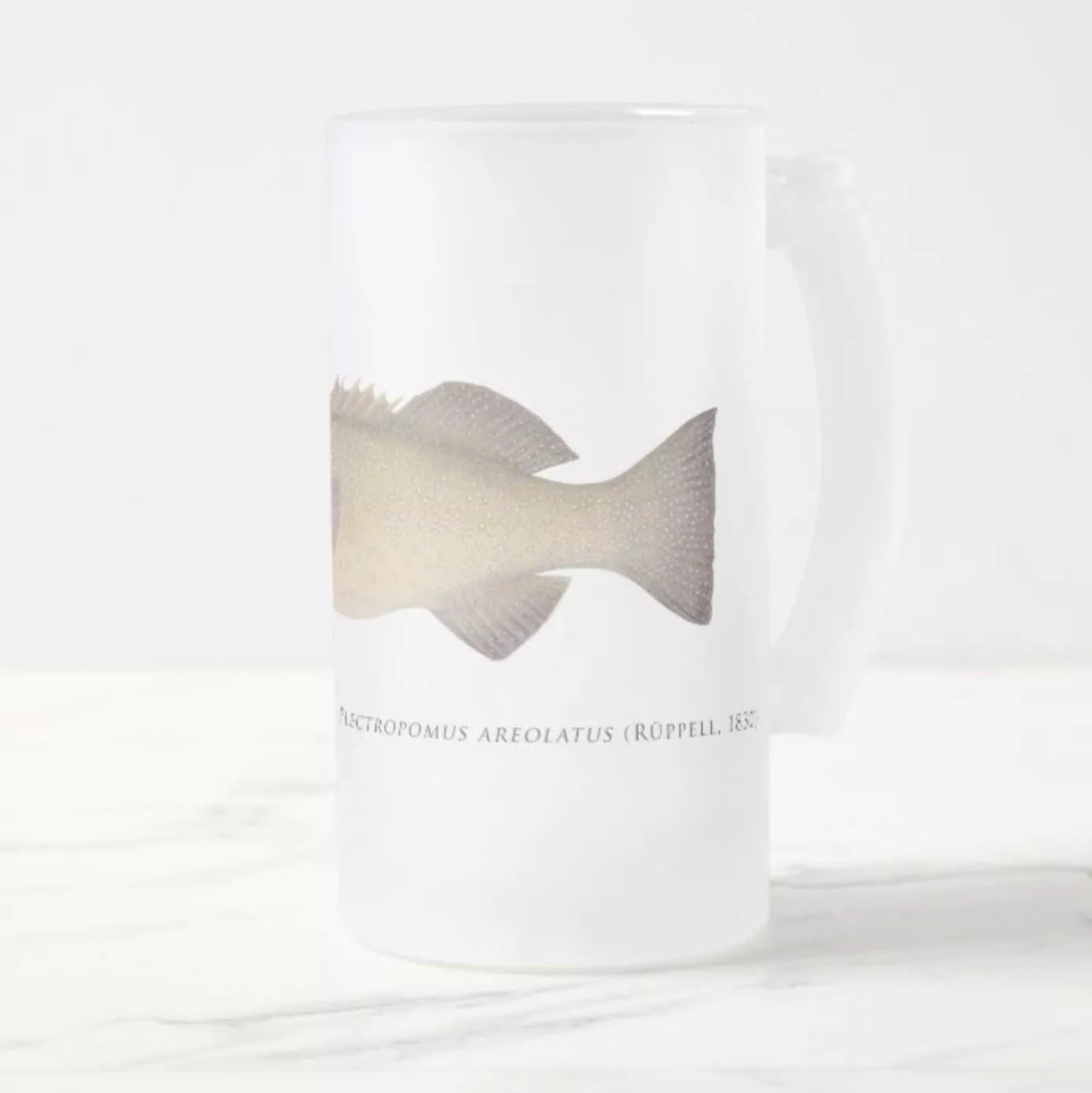 Passionfruit Coral Trout - Frosted Glass Stein-Stick Figure Fish Illustration