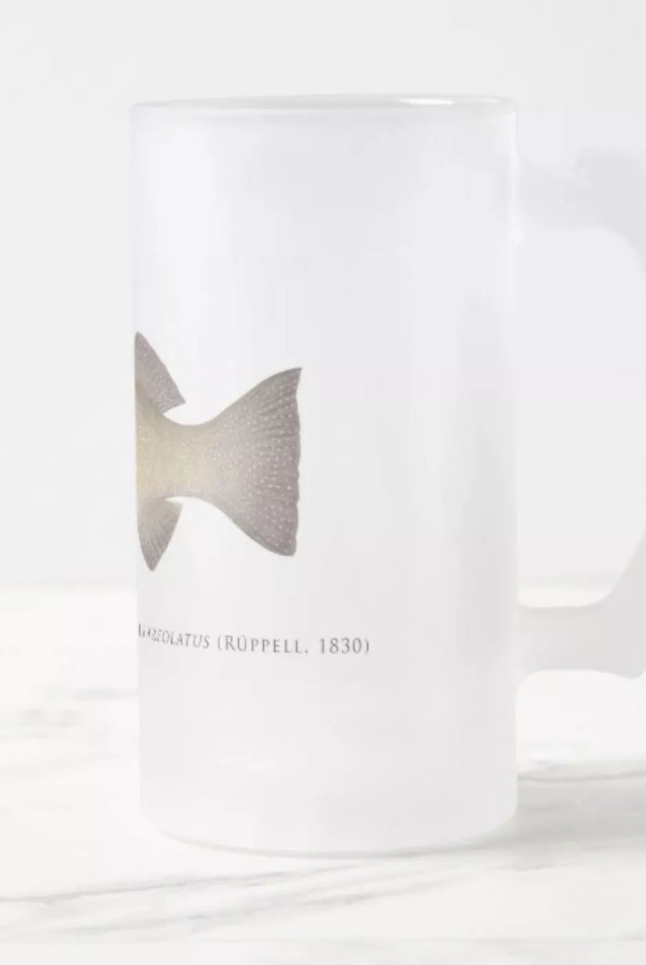 Passionfruit Coral Trout - Frosted Glass Stein-Stick Figure Fish Illustration