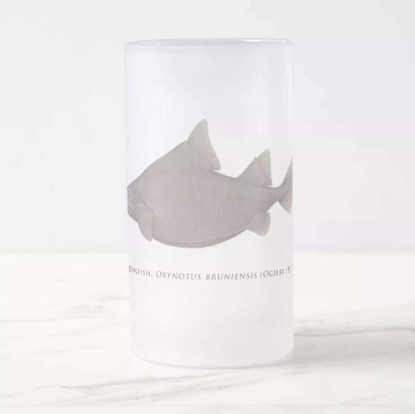 Prickly Dogfish - Frosted Glass Stein-Stick Figure Fish Illustration