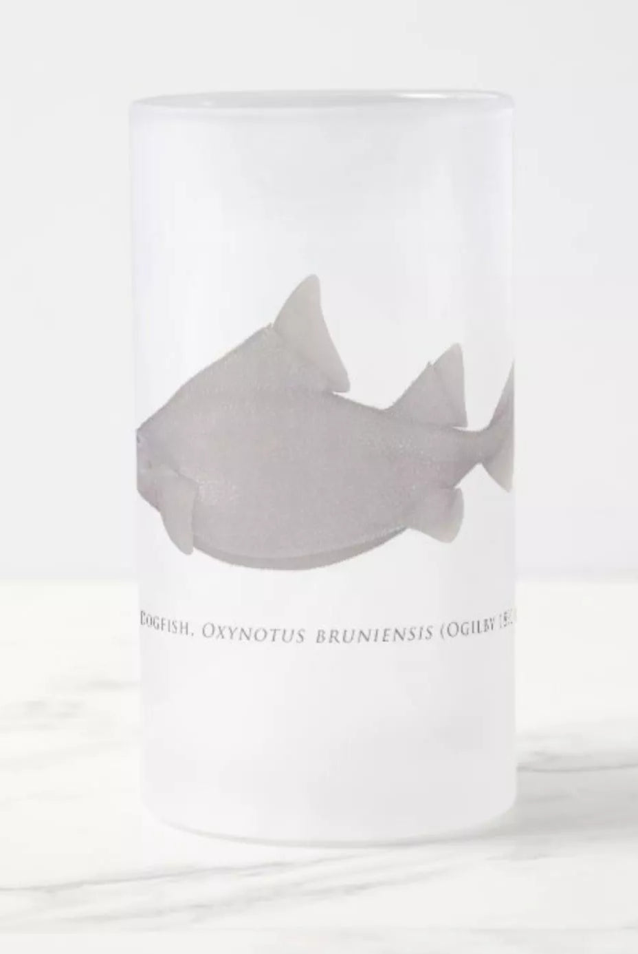 Prickly Dogfish - Frosted Glass Stein-Stick Figure Fish Illustration
