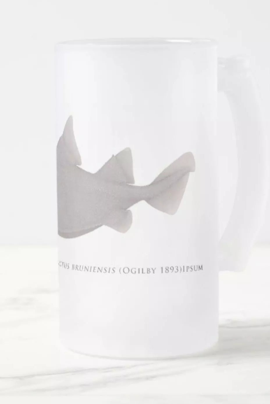 Prickly Dogfish - Frosted Glass Stein-Stick Figure Fish Illustration