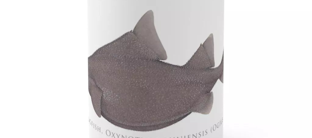 Prickly Dogfish Mug-Stick Figure Fish Illustration