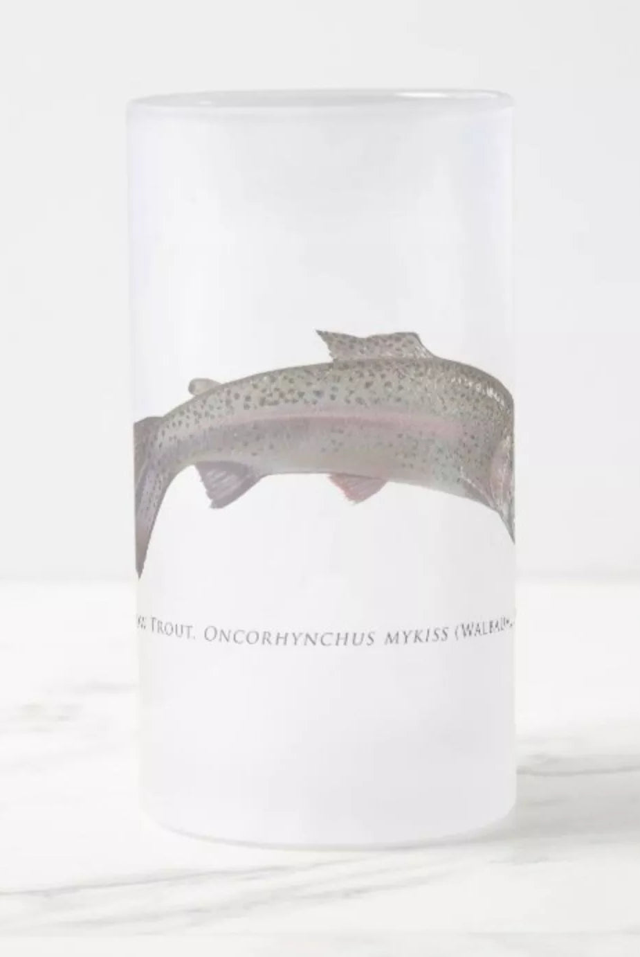Rainbow Trout - Frosted Glass Stein-Stick Figure Fish Illustration