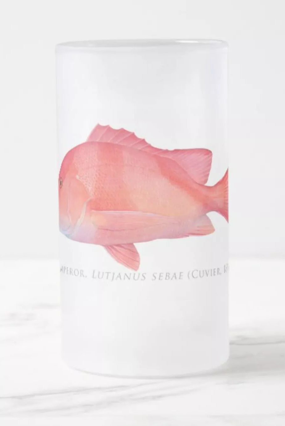 Red Emperor - Frosted Glass Stein-Stick Figure Fish Illustration