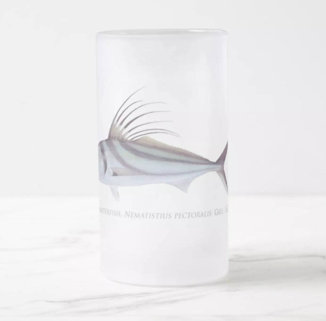 Roosterfish - Frosted Glass Stein-Stick Figure Fish Illustration