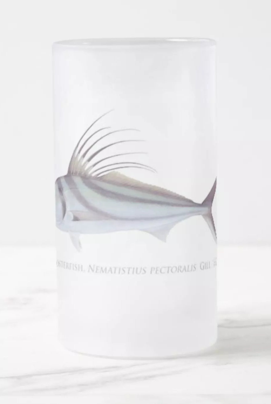 Roosterfish - Frosted Glass Stein-Stick Figure Fish Illustration