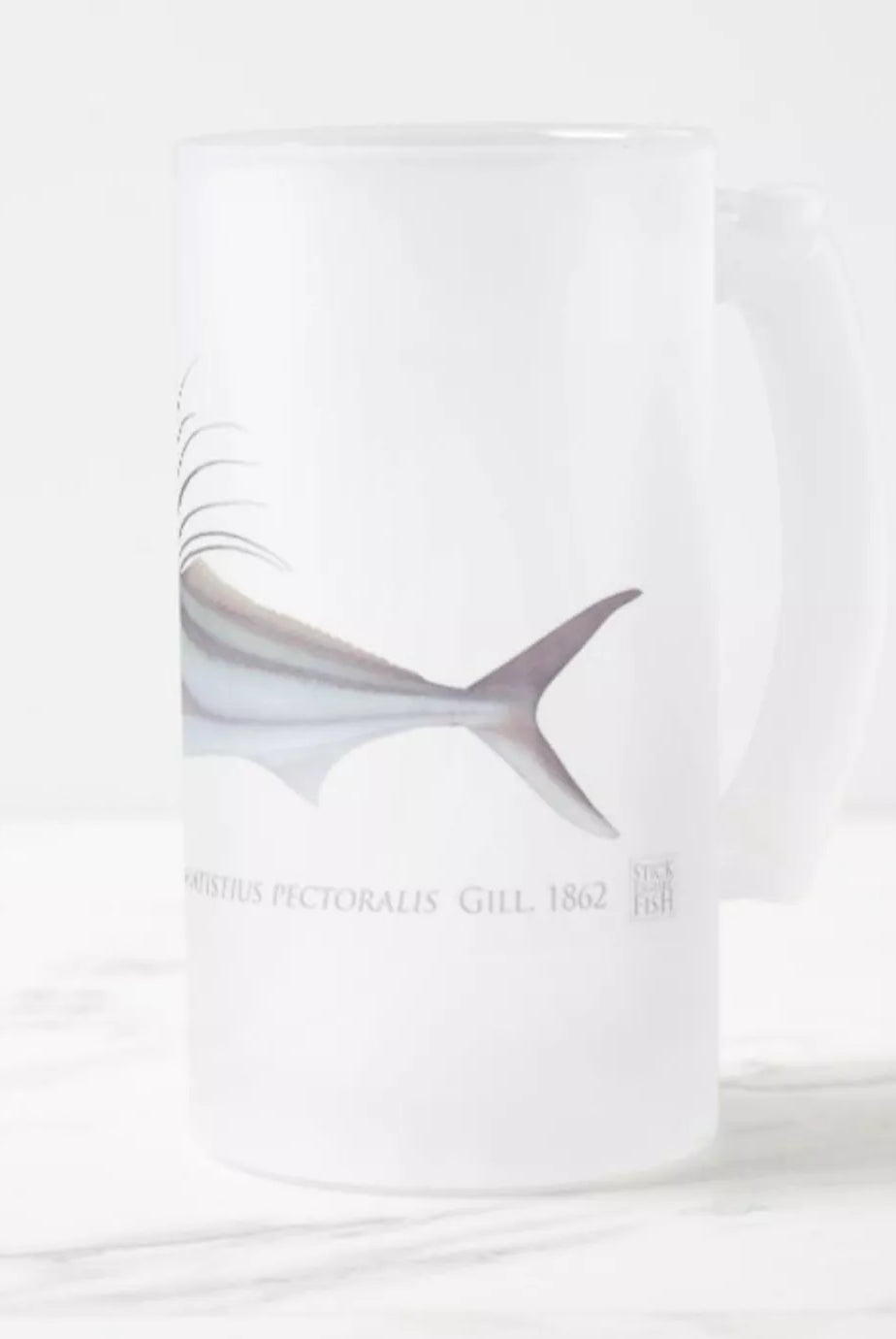 Roosterfish - Frosted Glass Stein-Stick Figure Fish Illustration