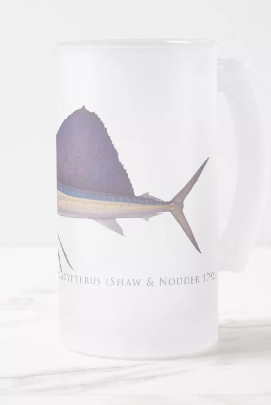 Sailfish - Frosted Glass Stein-Stick Figure Fish Illustration